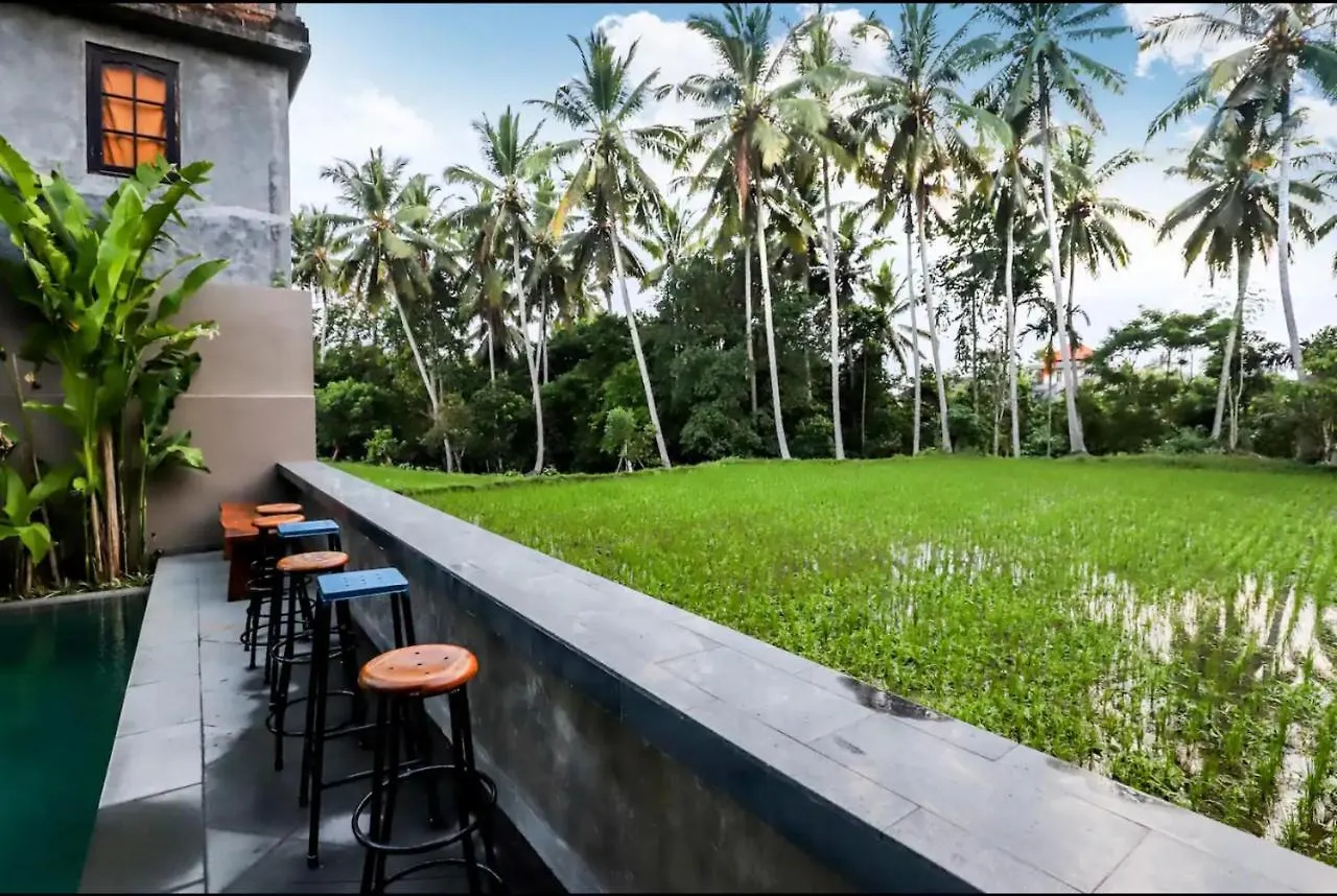 Pensión Harmony House: Just Built, 2 Min Ubud Center /2